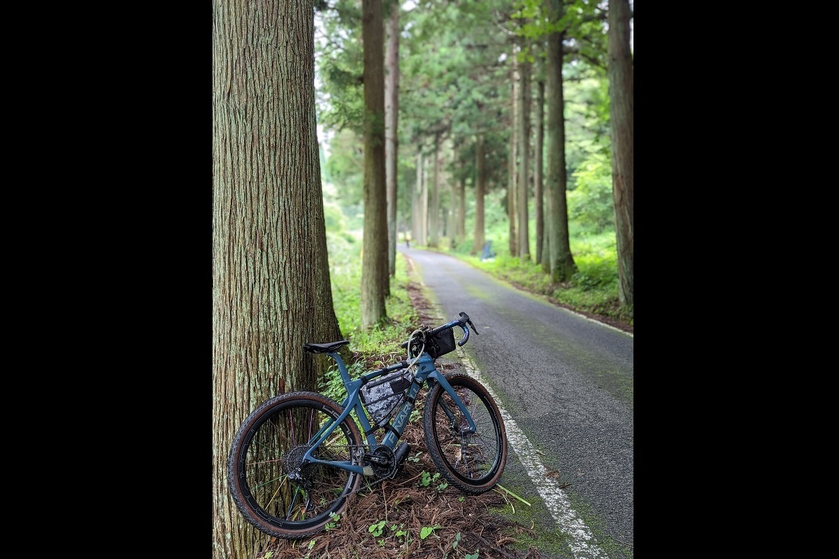 待望 AVANT GARDE WEBショップMAVIC マヴィック ALLROAD SL オール